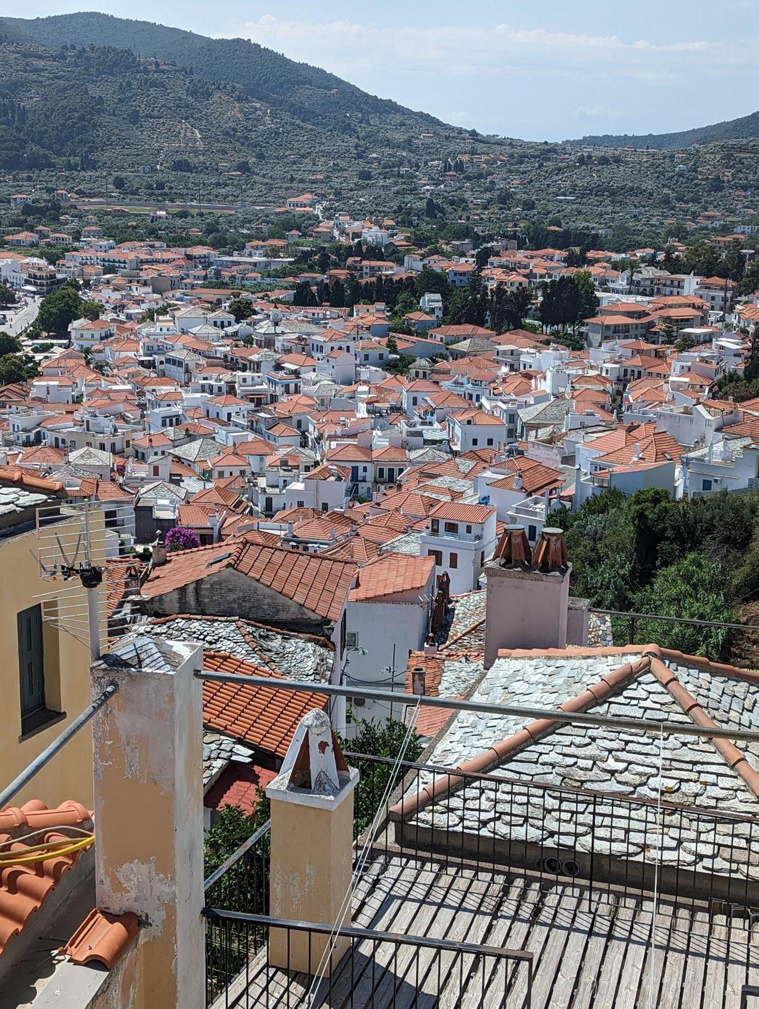 The Botanist Guesthouse Skopelos Town Bagian luar foto