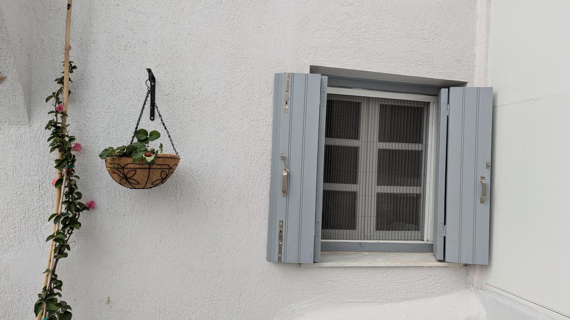 The Botanist Guesthouse Skopelos Town Bagian luar foto