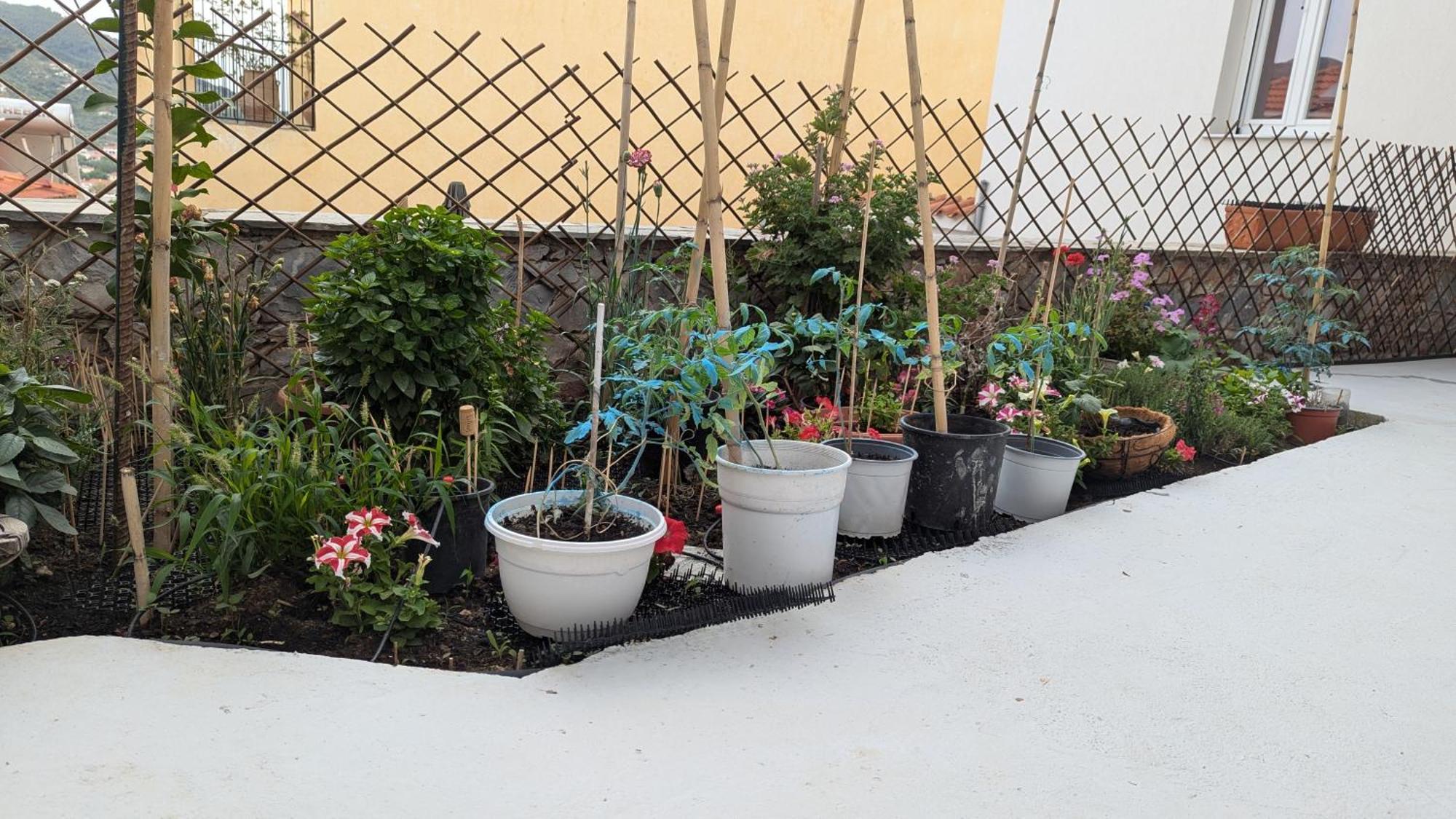 The Botanist Guesthouse Skopelos Town Bagian luar foto