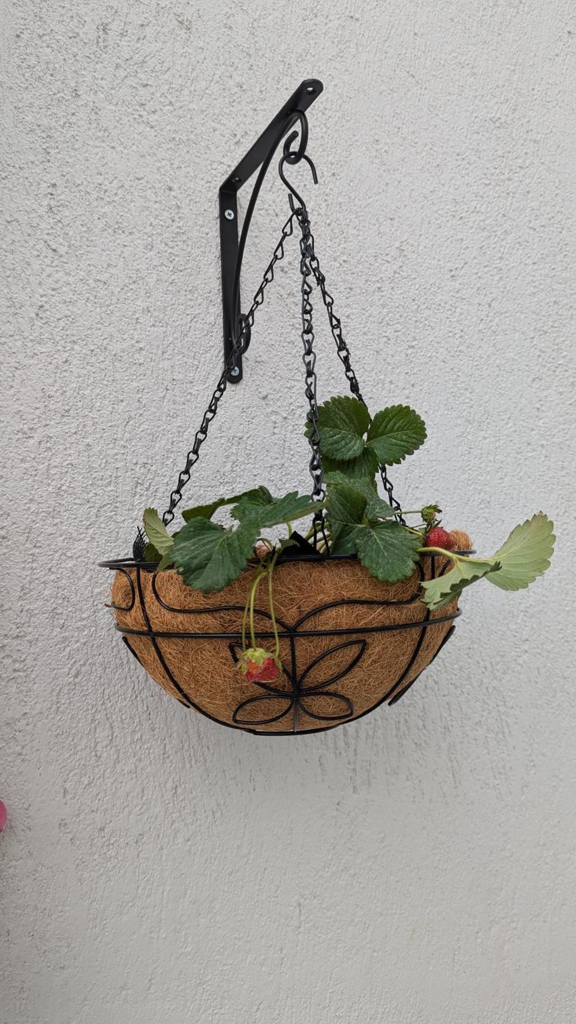 The Botanist Guesthouse Skopelos Town Bagian luar foto
