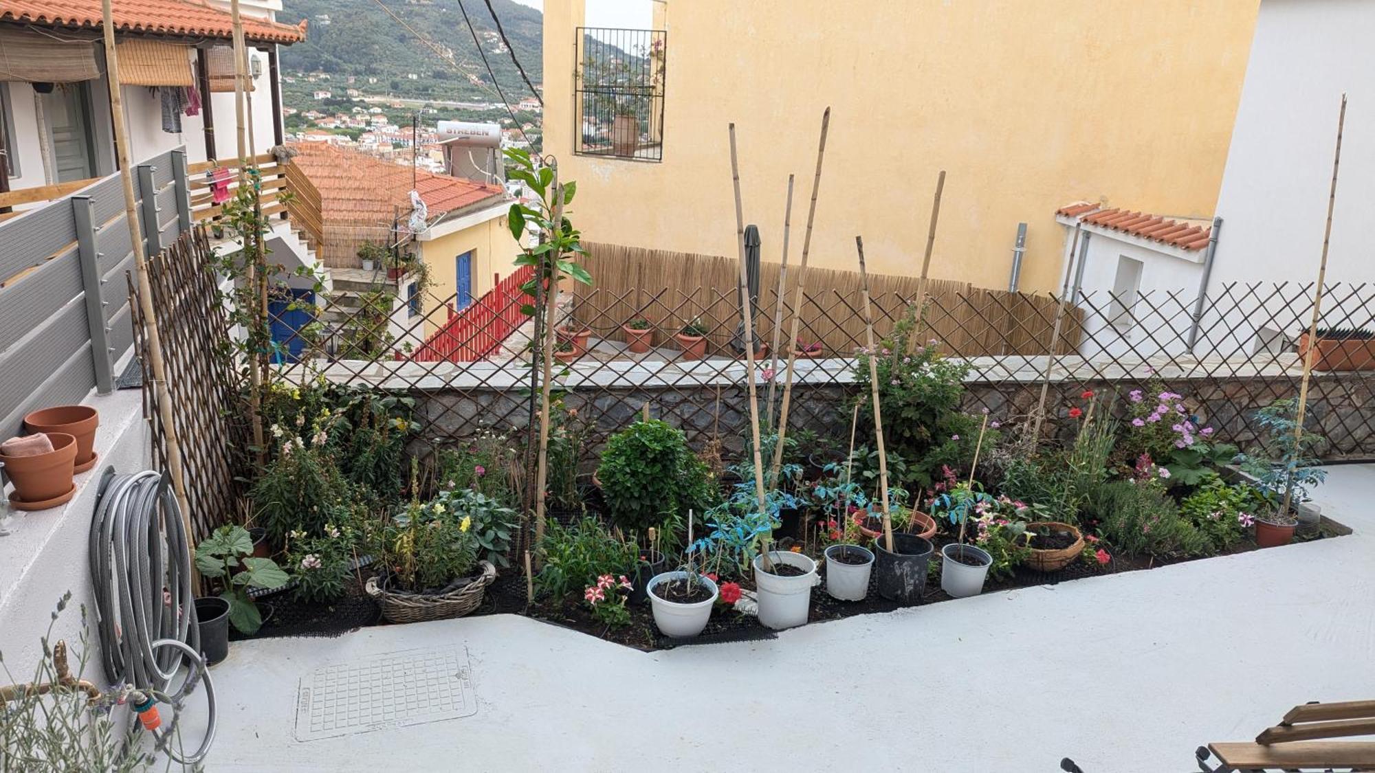 The Botanist Guesthouse Skopelos Town Bagian luar foto