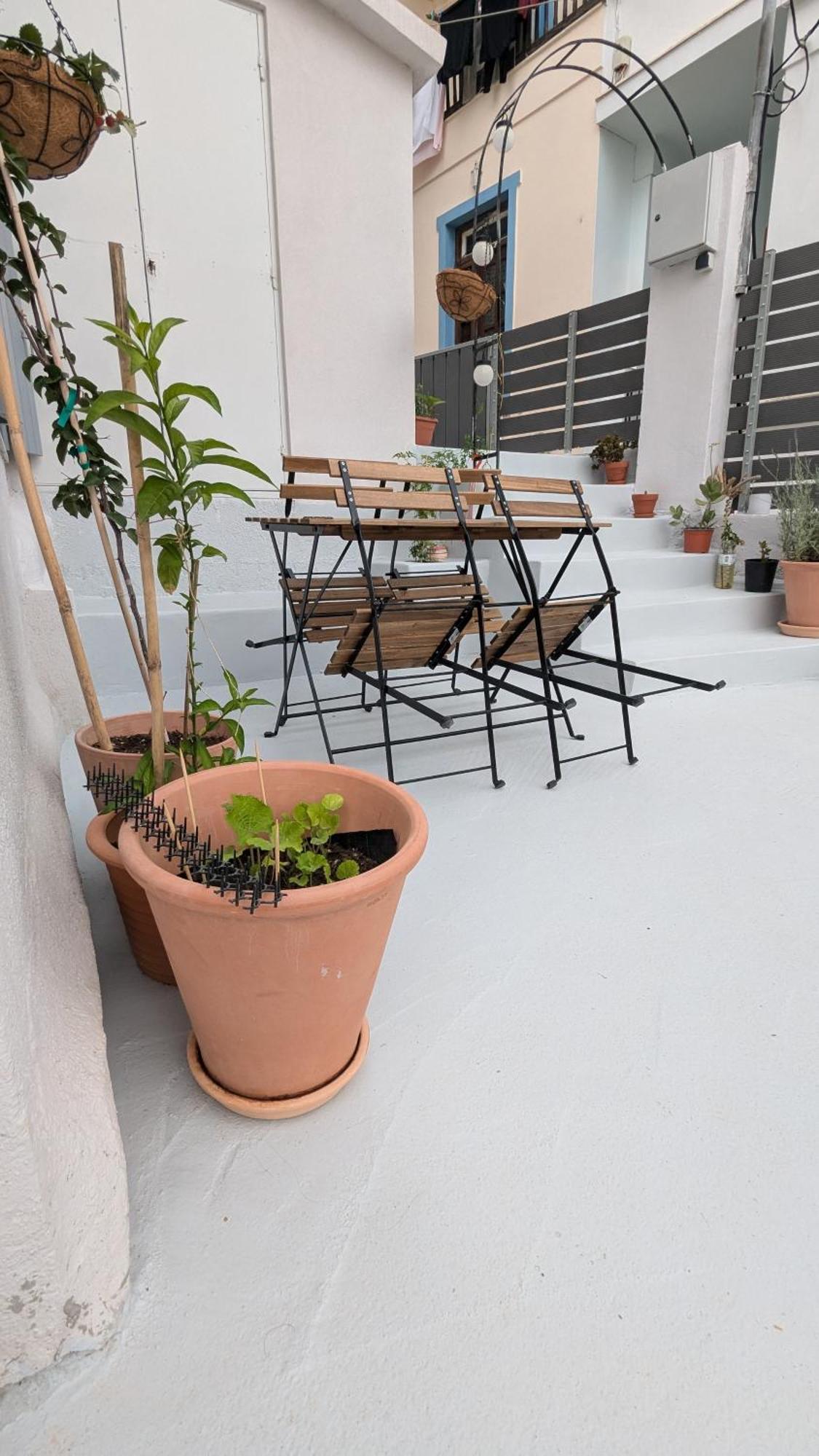 The Botanist Guesthouse Skopelos Town Bagian luar foto